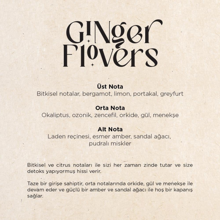 ginger 4 png 1