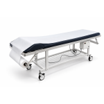 Linay TSE Belgeli Muayene Sedye Örtüsü